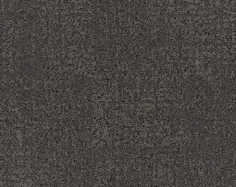 [300111158_3] Step In Time - 106314 Coal